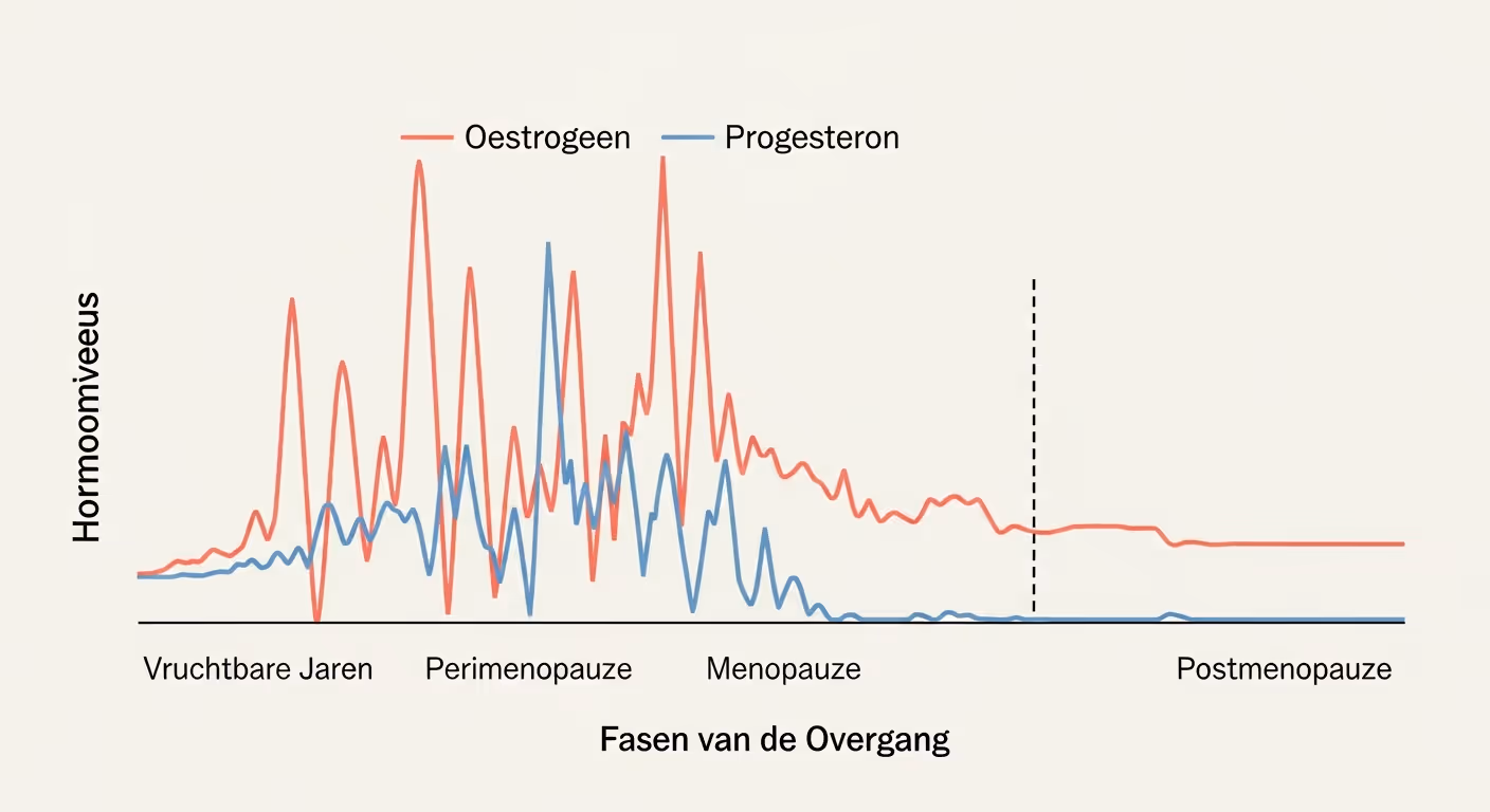 Lijndiagram dat de schommelingen en daling van oestrogeen- en progesteronniveaus toont tijdens de fasen van de overgang: van stabiele cycli in de vruchtbare jaren, via onvoorspelbare pieken en dalen in de perimenopauze, tot een stabiel laag niveau in de postmenopauze.