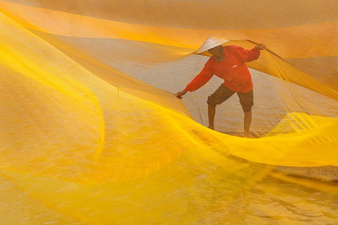Mr. Mười, a fisherman from Hội An, retrieving his fishing net in the Thu Bồn River.