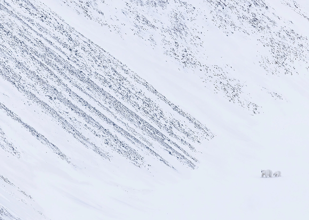 Panos Laskarakis: The Explorers | Runner-up Polar regions category