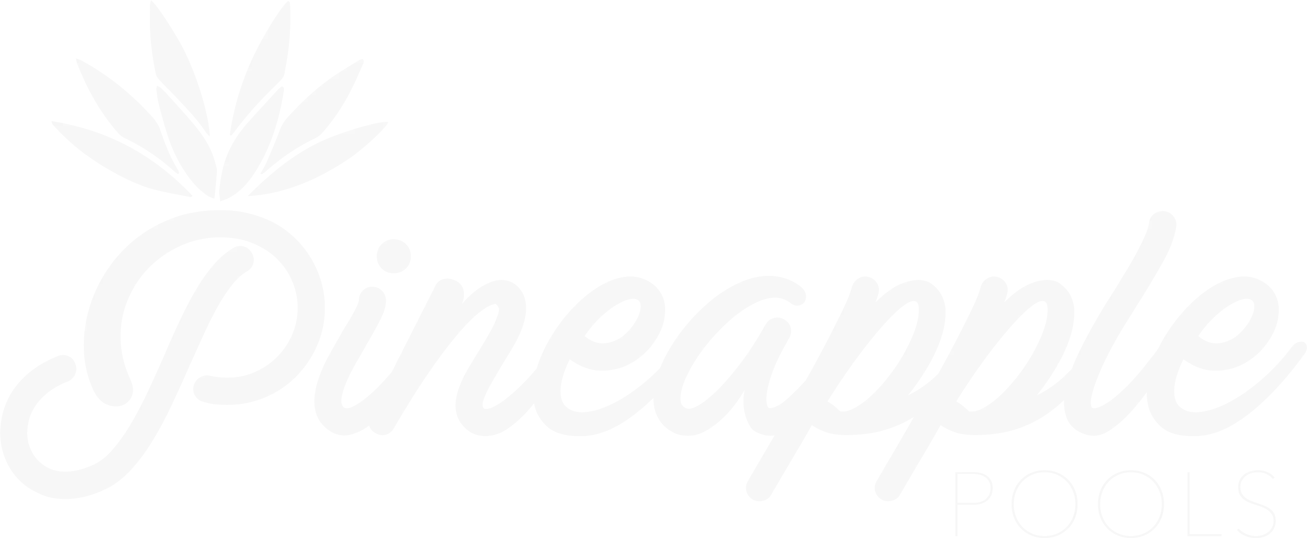 Pineapple, pool maintenance and repair business associated with Cameron Bawden