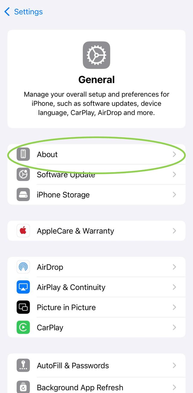 iPhone