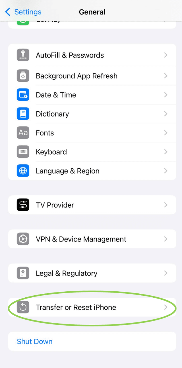 mobile app