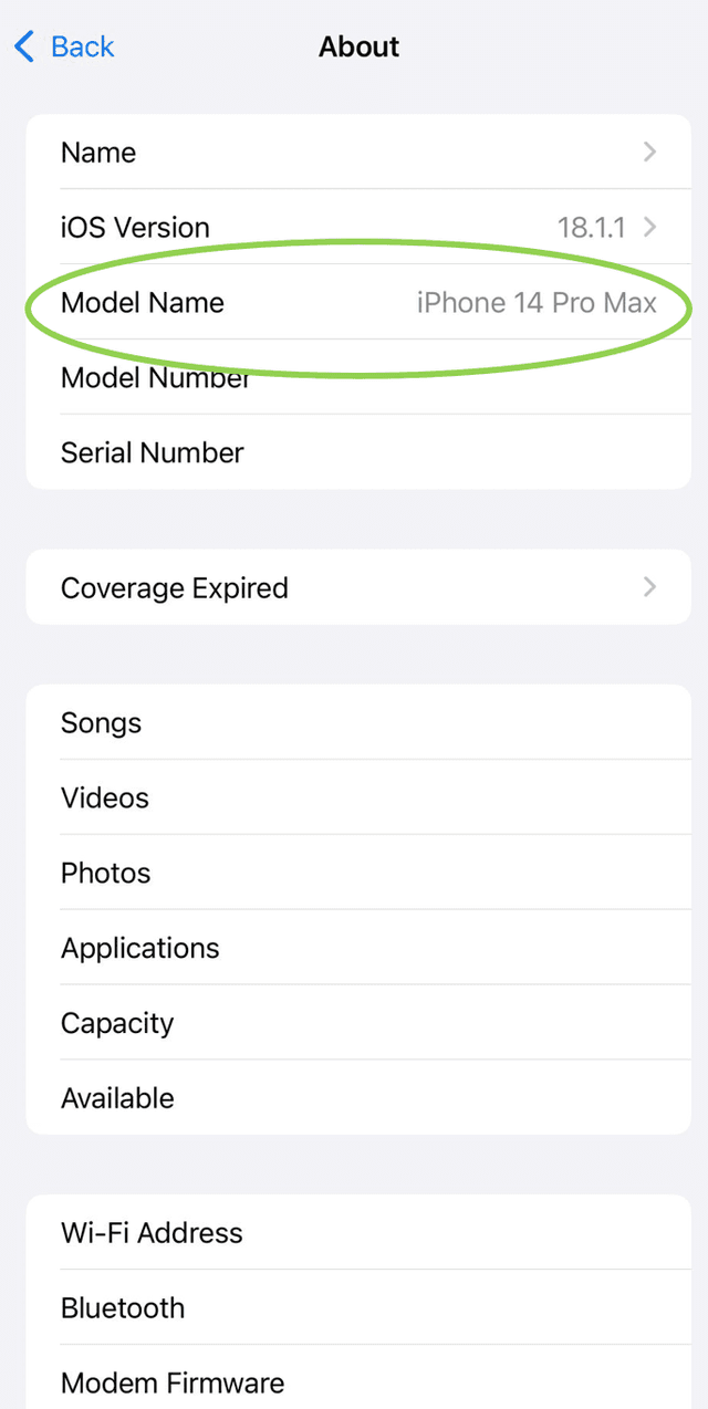 iPhone