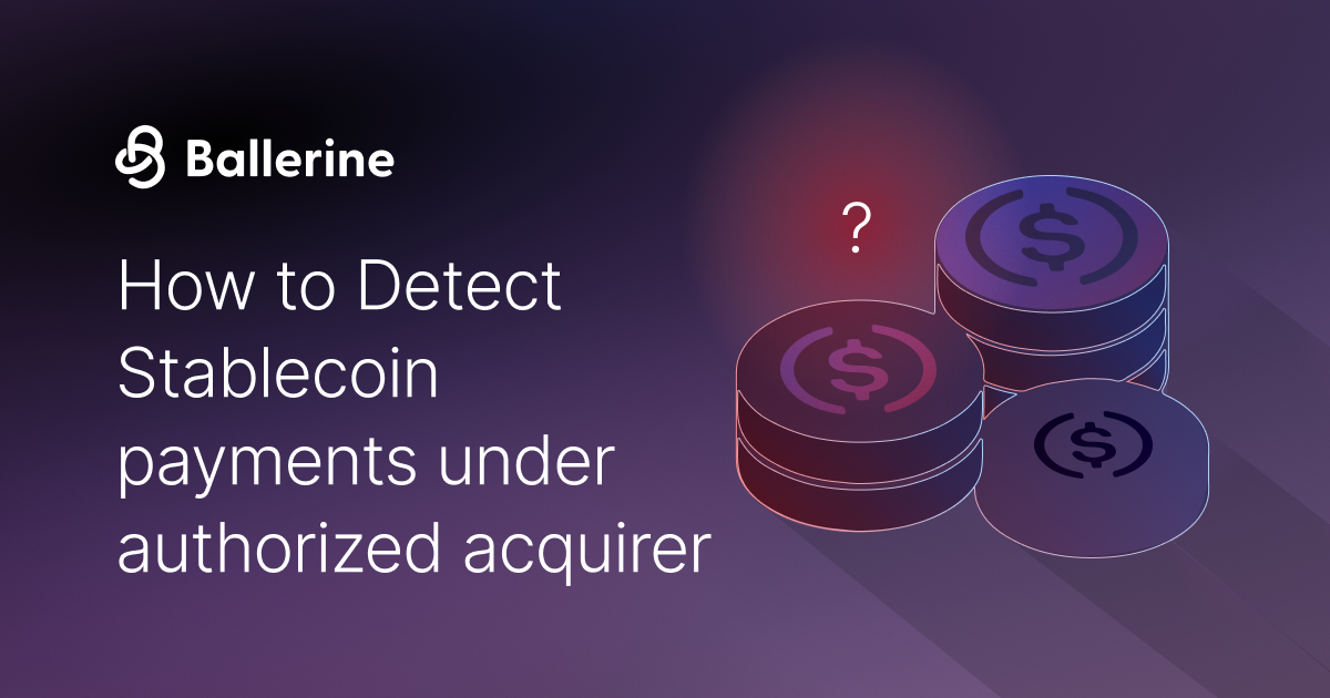 How to Detect Stablecoin Transactions in Authorized Acquirer Environments