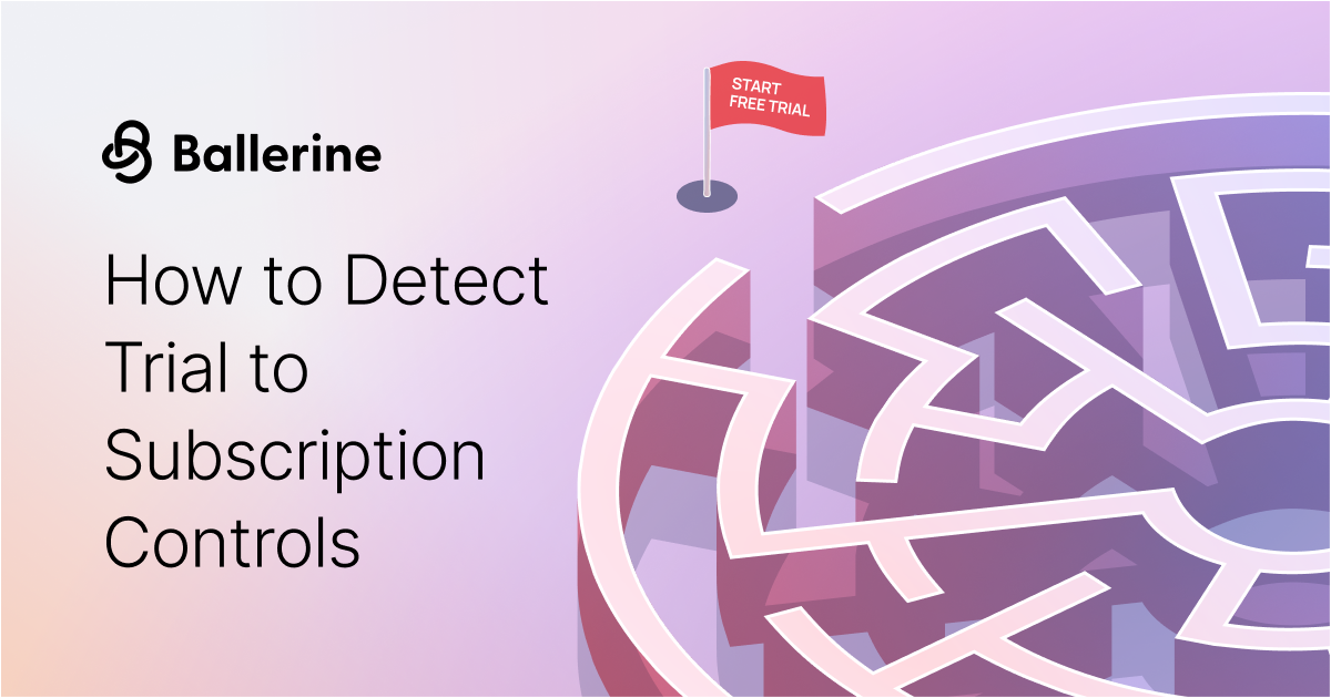 Subscription Billing Risk: A Control Framework for Payment Processors