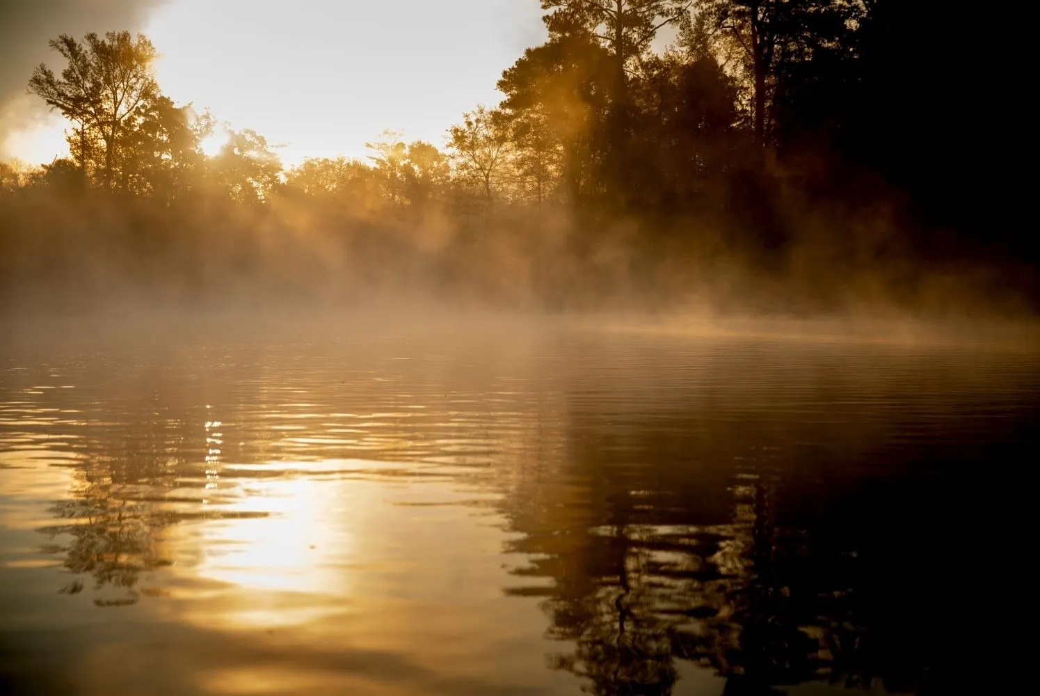 foggy river at sunrise
