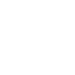 White icon of a car viewed from the front.