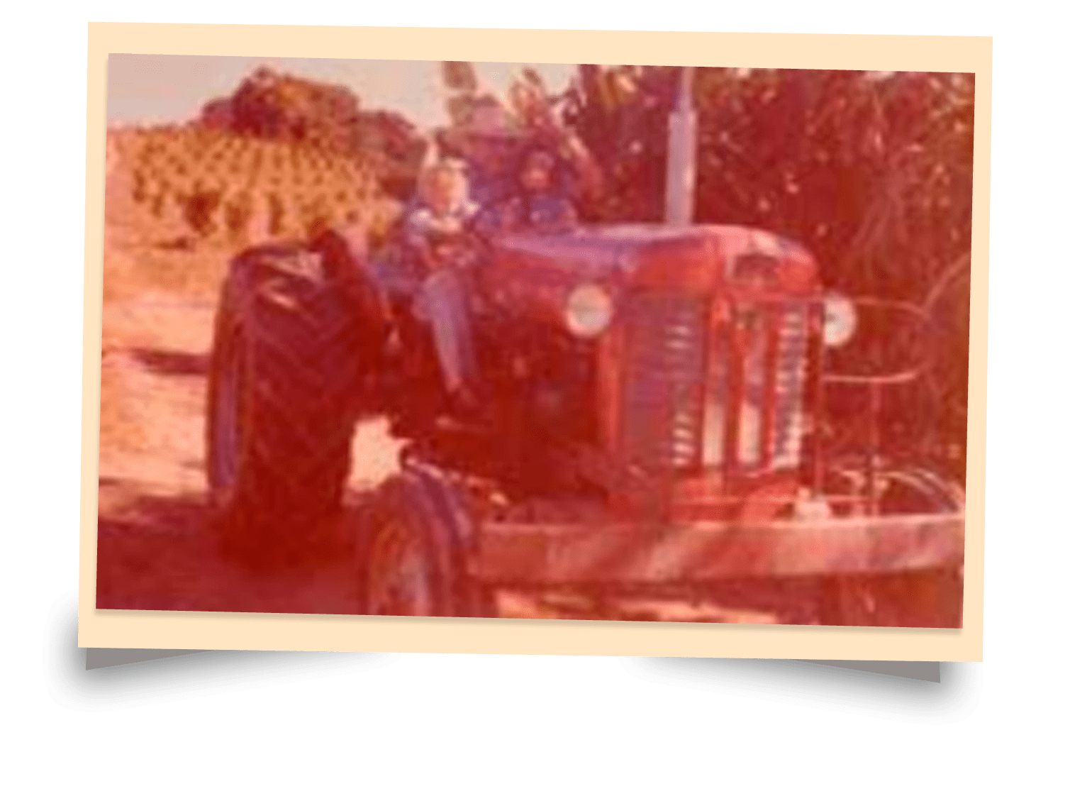 Foto antiga de duas crianças sentadas em um trator vermelho em um campo ensolarado.