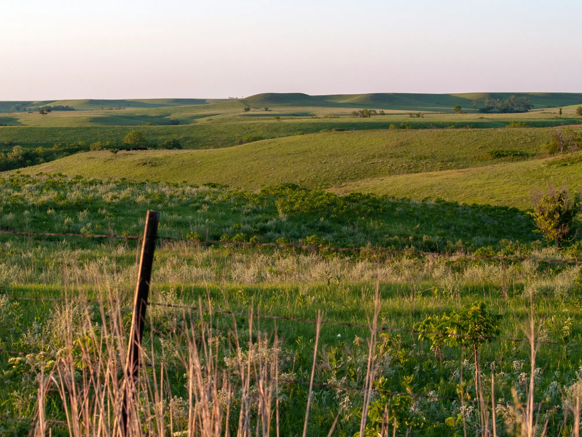 Lush green hills stretch across the horizon, framed by wild grasses and a wooden fence post in the foreground.