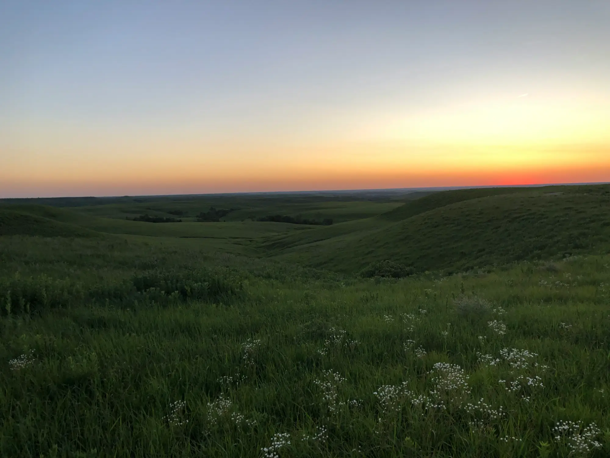 Vast green hills under a colorful sunset sky, capturing a serene natural landscape with gentle slopes and flowering vegetation.
