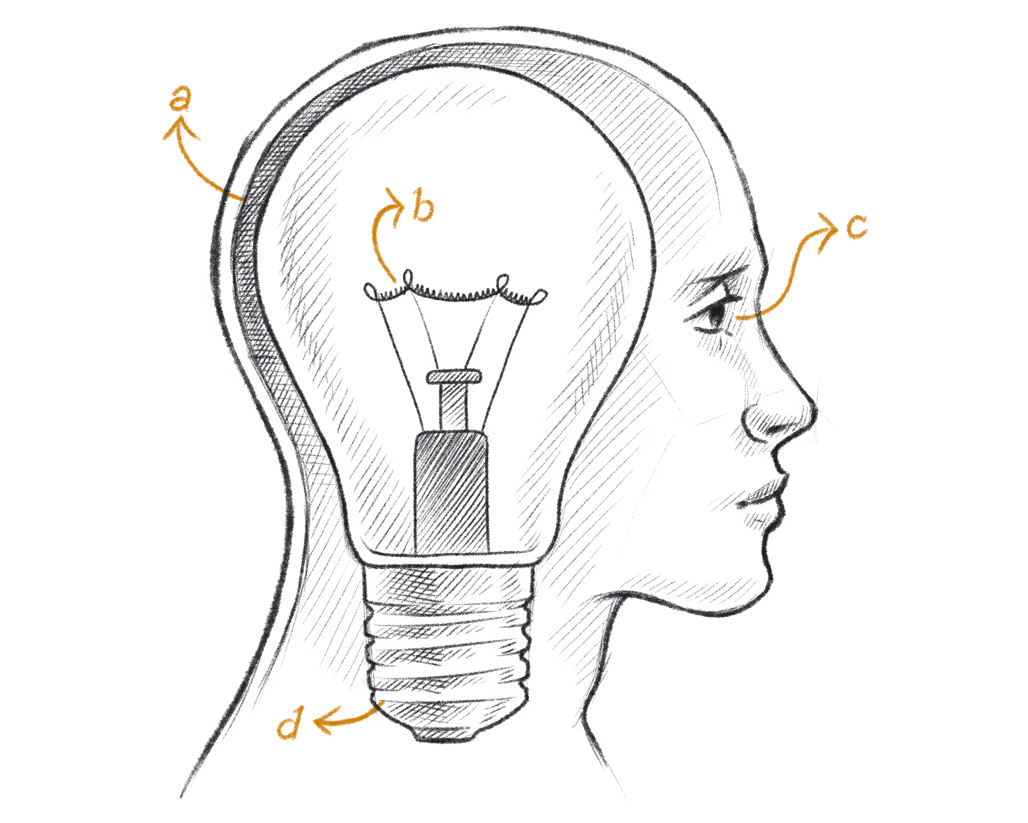 Illustration in the style of a hand-drawn patent of a lightbulb inside a human head.