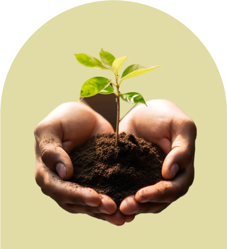 Agriculture