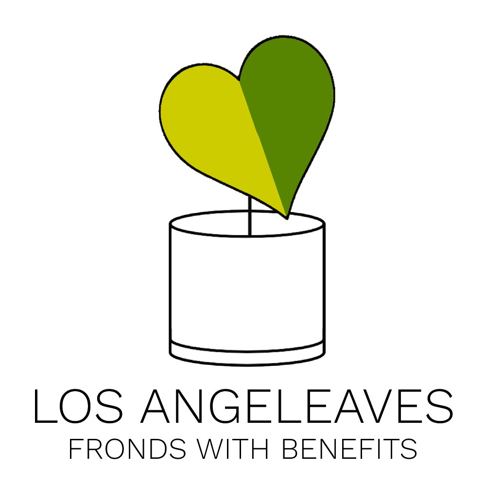 Logo with two heart-shaped leaves in green shades growing from a white pot, with the text 'LOS ANGELEAVES FRONDS WITH BENEFITS' below.