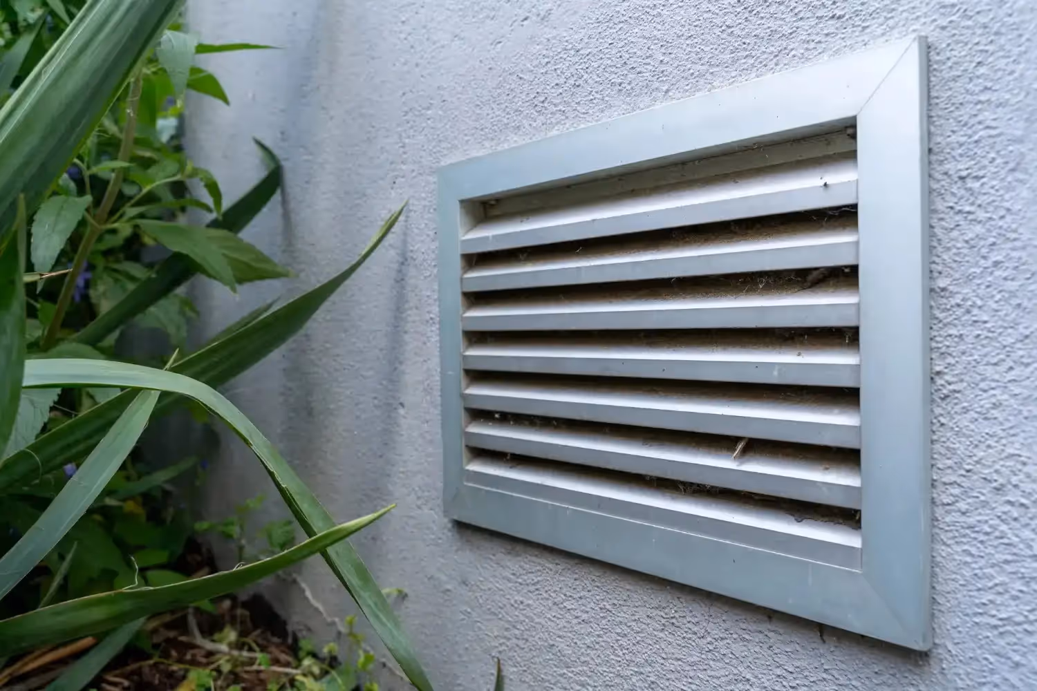 Exterior metal air vent on a gray stucco wall, partially obscured by green plants.