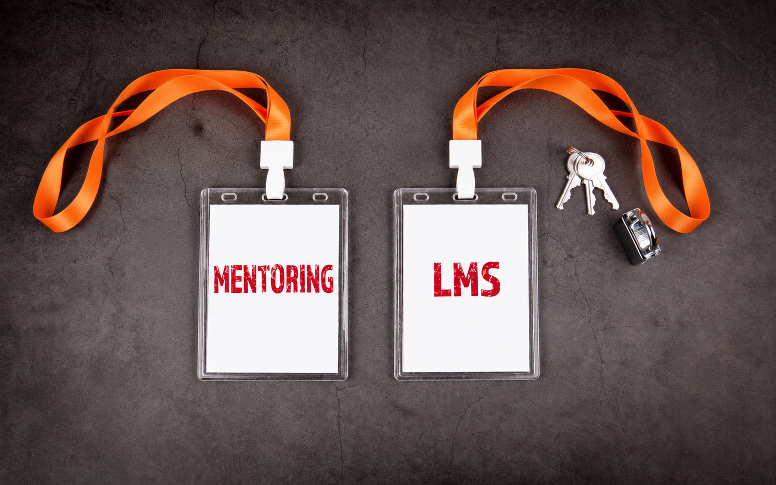 Mentoring Platform vs LMS: What is the Difference and Do You Need Both?