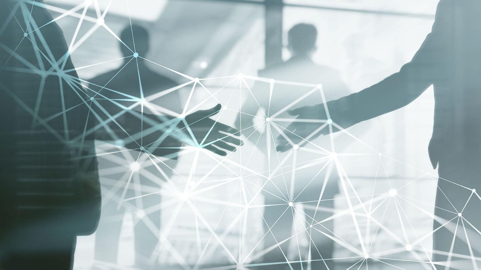 Mentoring Software vs. Mentoring Programme: What's the Difference?