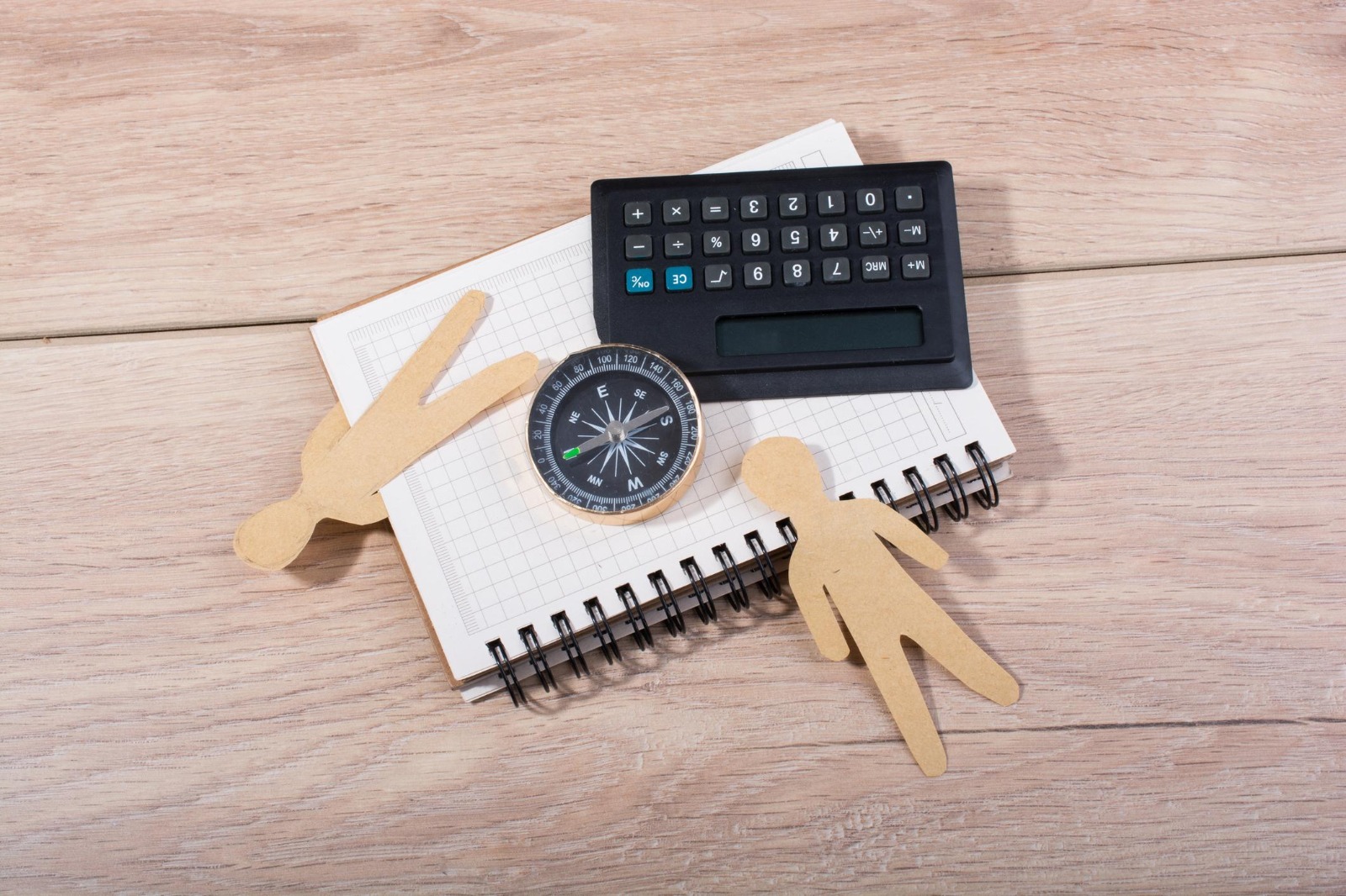 The Mentoring Program Maturity Model