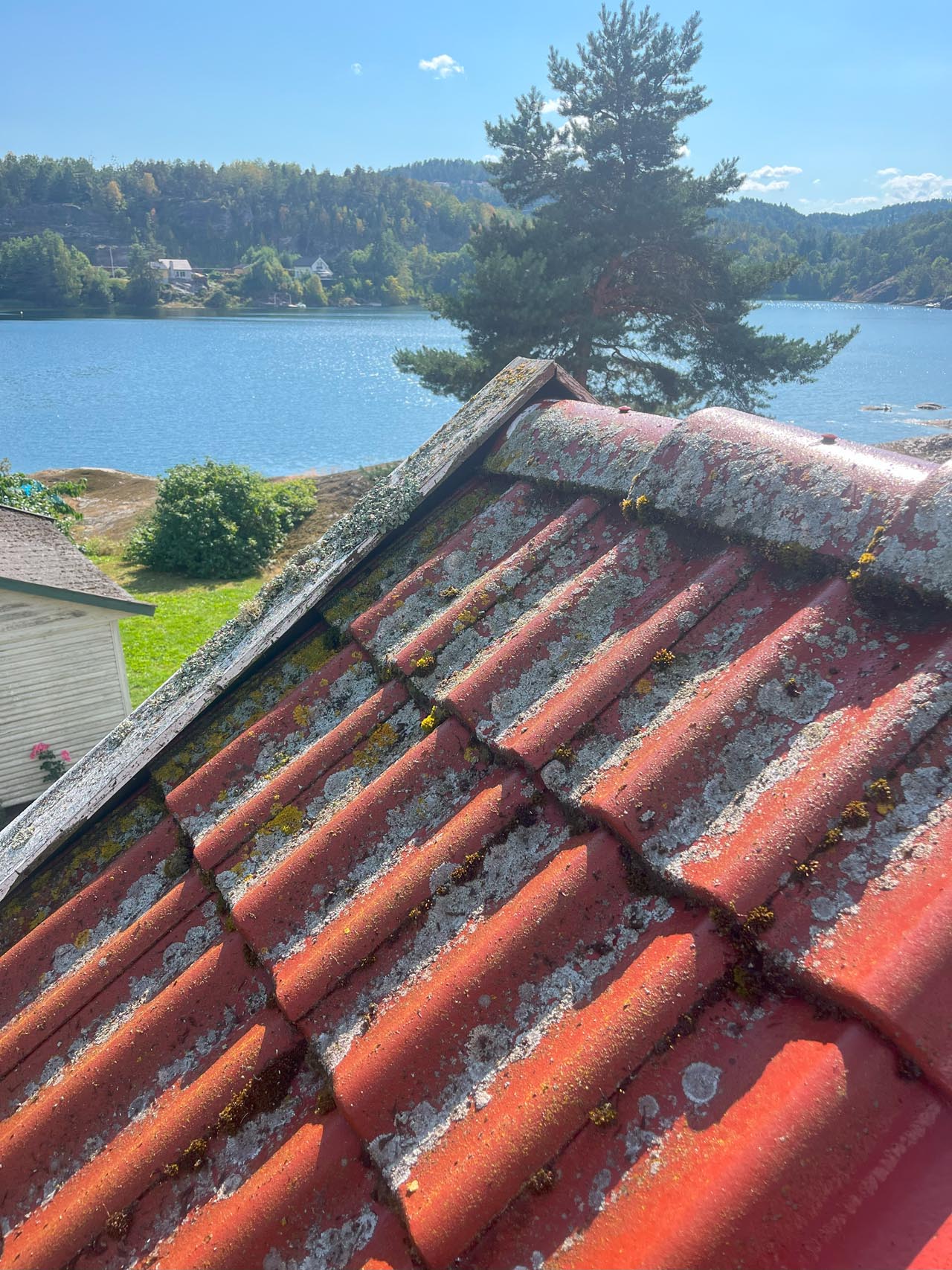 Skitten takstein på et hus som trenger en takvask