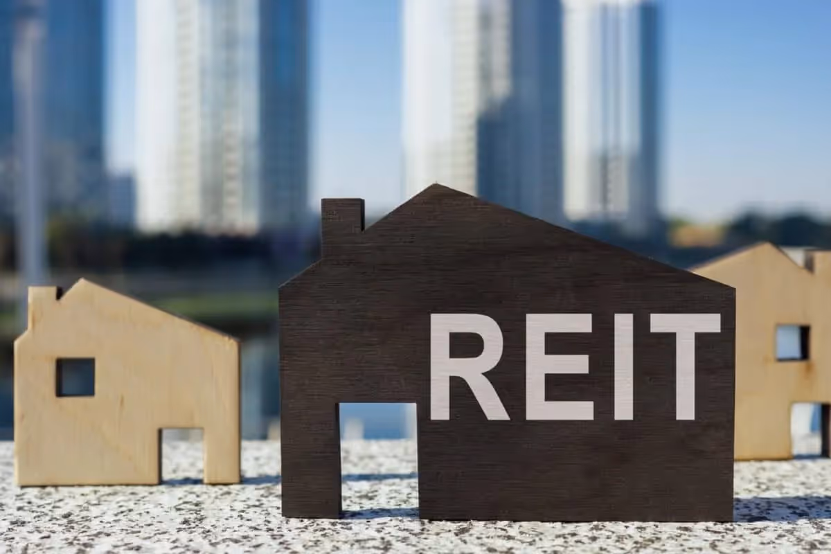 What are REIT Dividends (Detailed Guide)