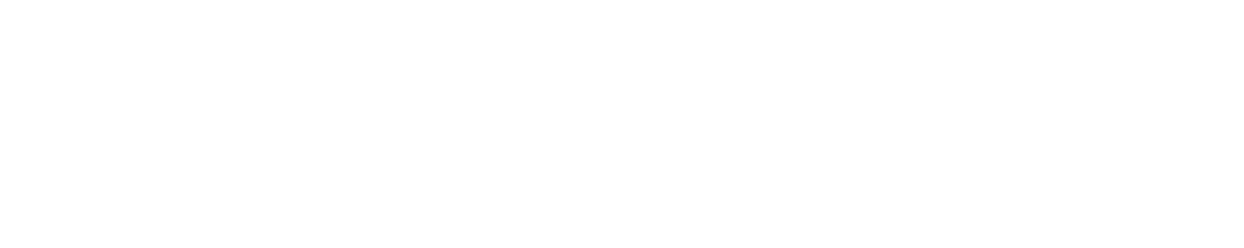 Logo of the website of Corinne Schreiner