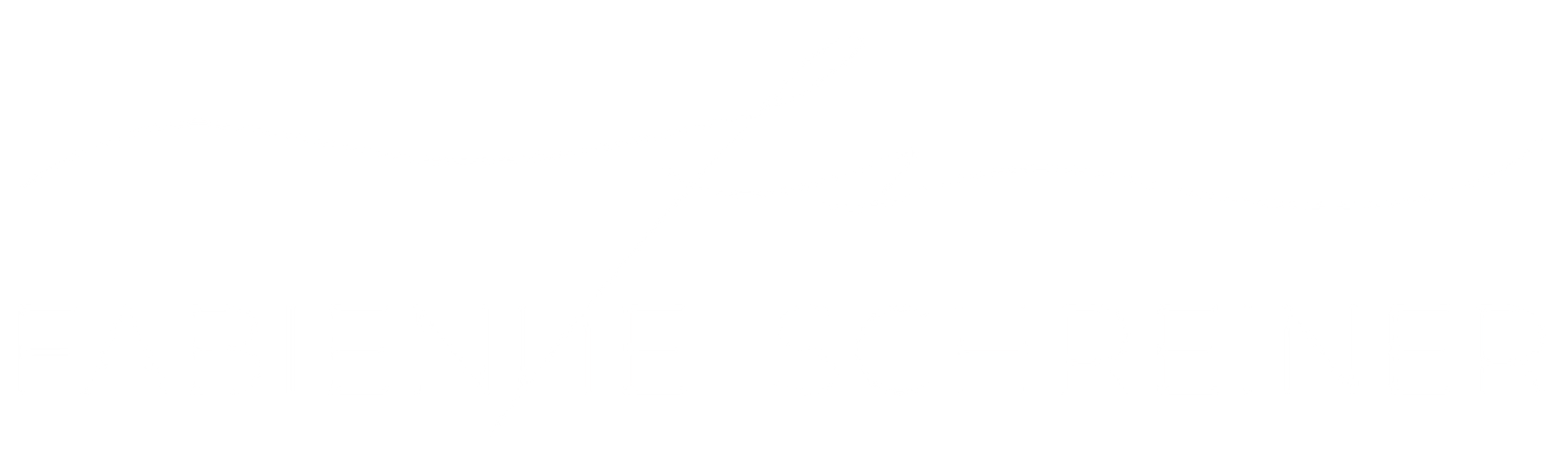 Logo of the website of Fabienne Schreiner