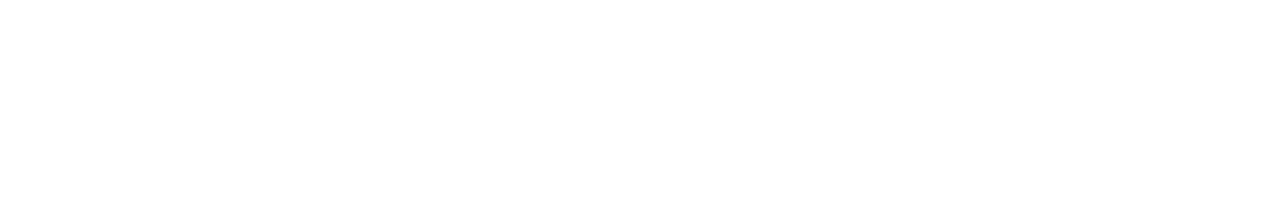 Logo of the MS shop by Marcel Schreiner