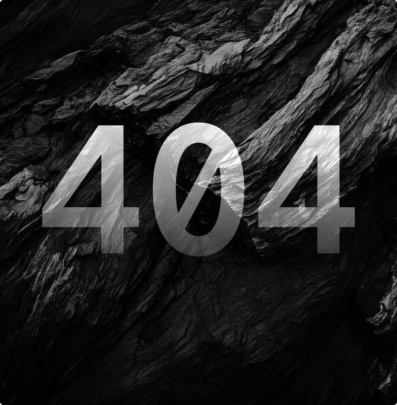 B2B SaaS software Webflow template 404