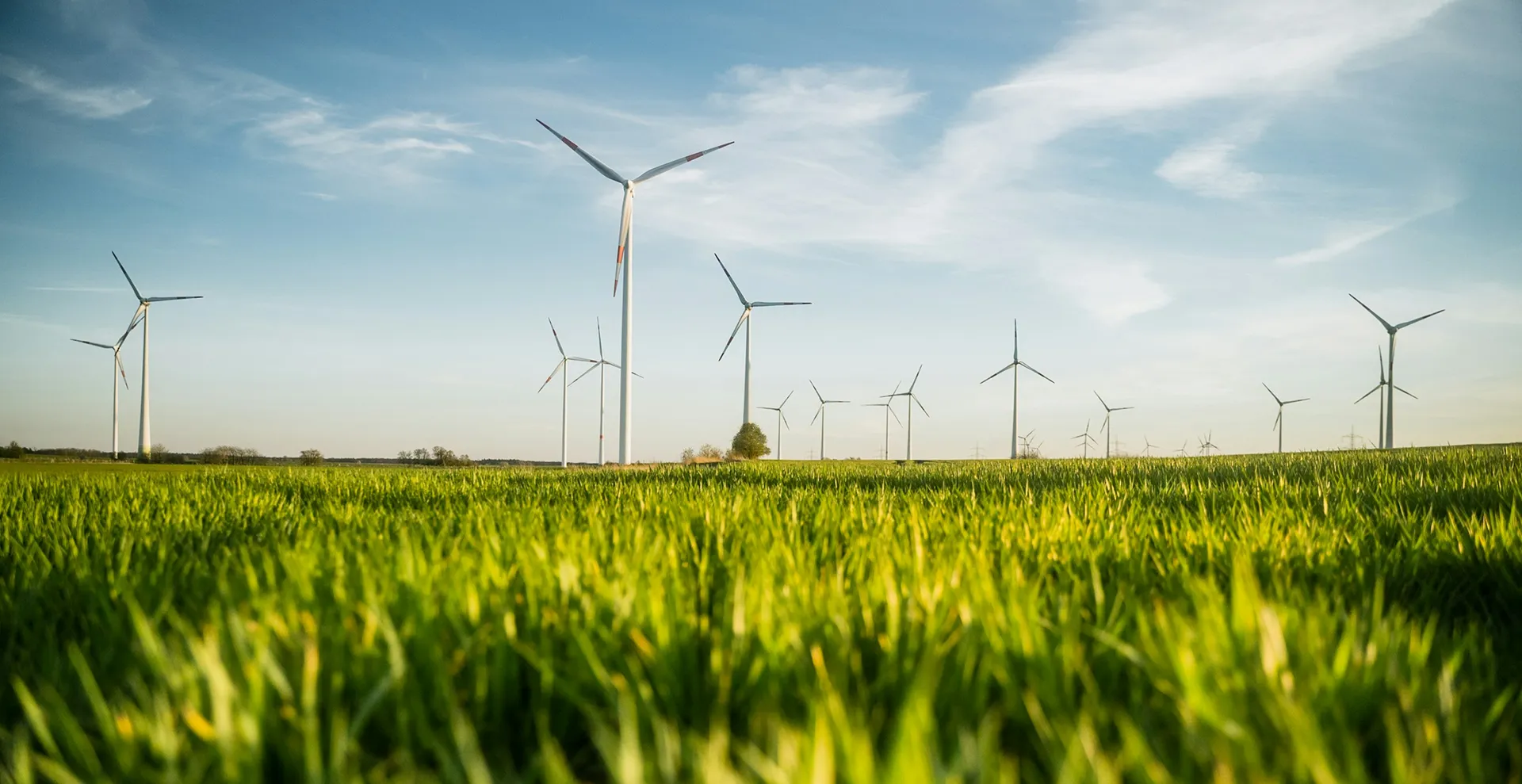 Multiple windmills on a blue background with grass close up in the foreground