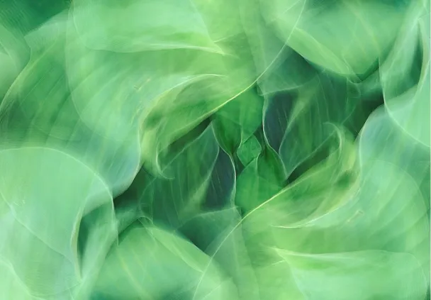 A picture of an abstract green air flows representing methane