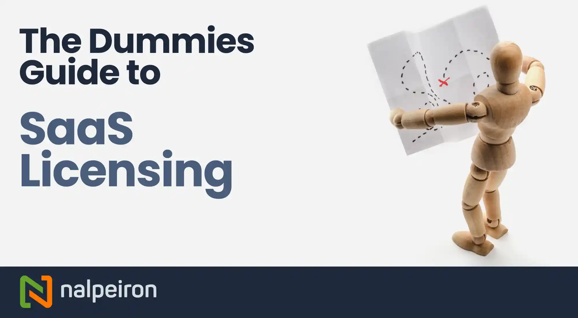 Dummies Guide to SaaS Licensing