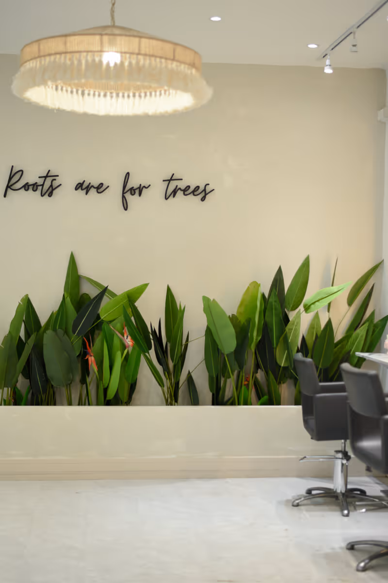 Indoor space with green leafy plants in a white planter, black chairs, and a wall sign reading 'Roots are for trees' under a hanging light fixture.