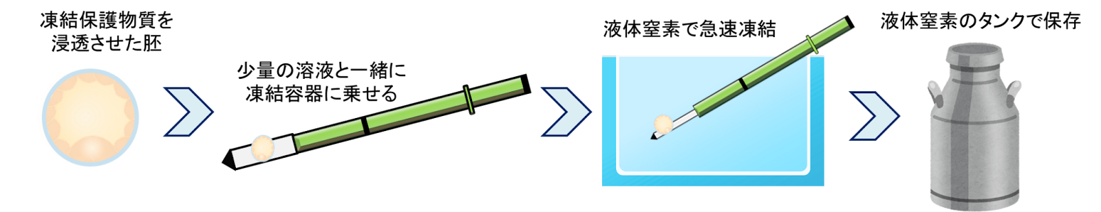 胚凍結のイメージ