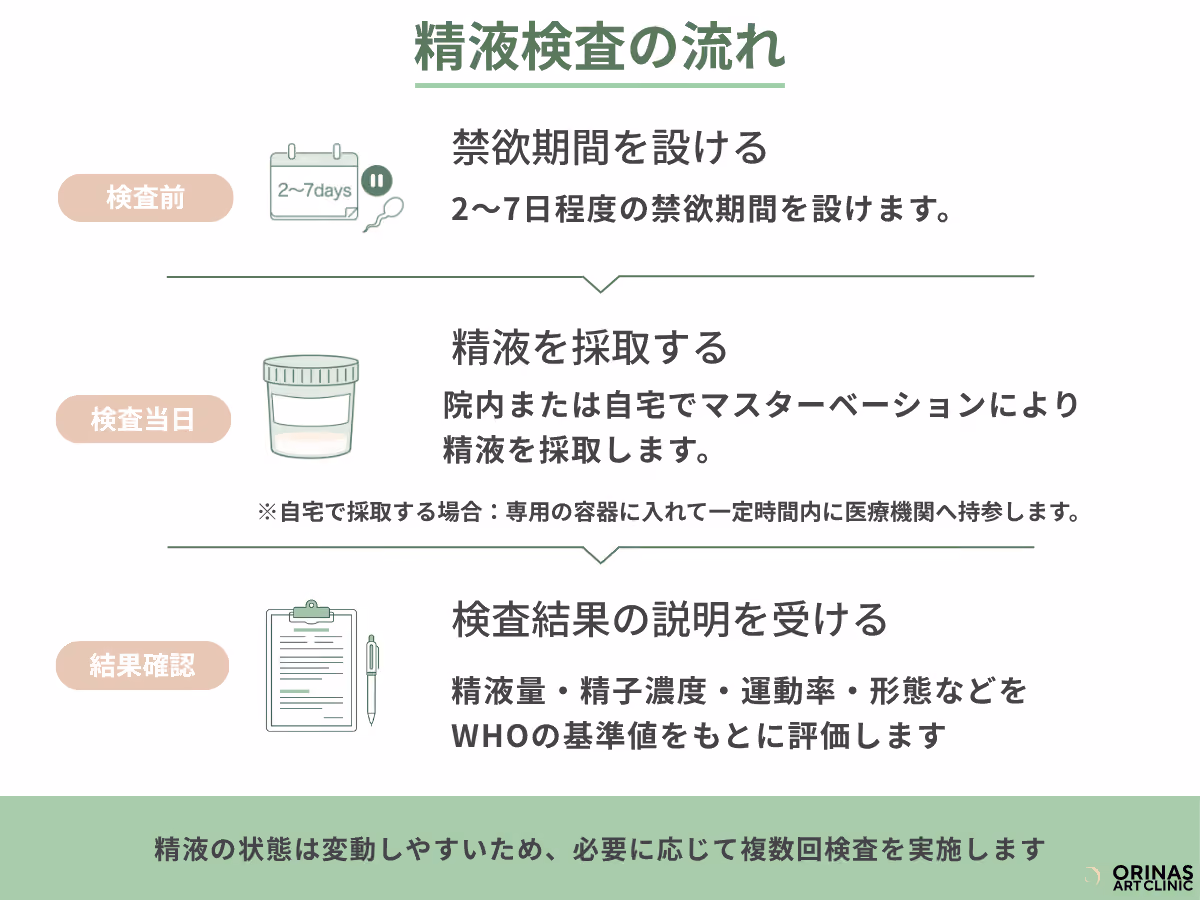 精液検査の流れ(禁欲期間→精液採取→検査結果の説明)を示した図解