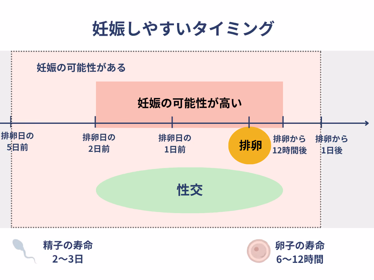 妊娠しやすいタイミング