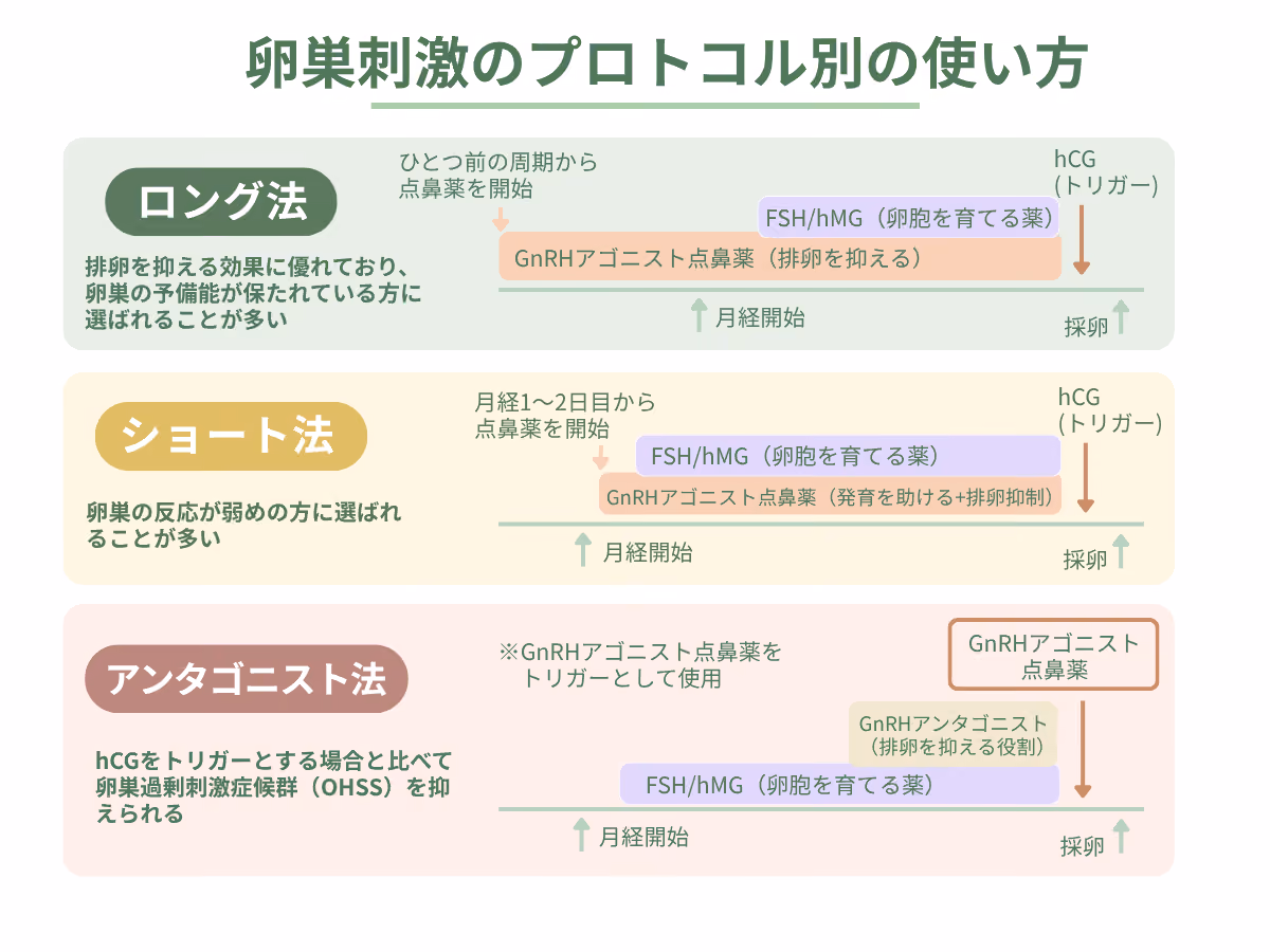 卵巣刺激のプロトコル別の使い方