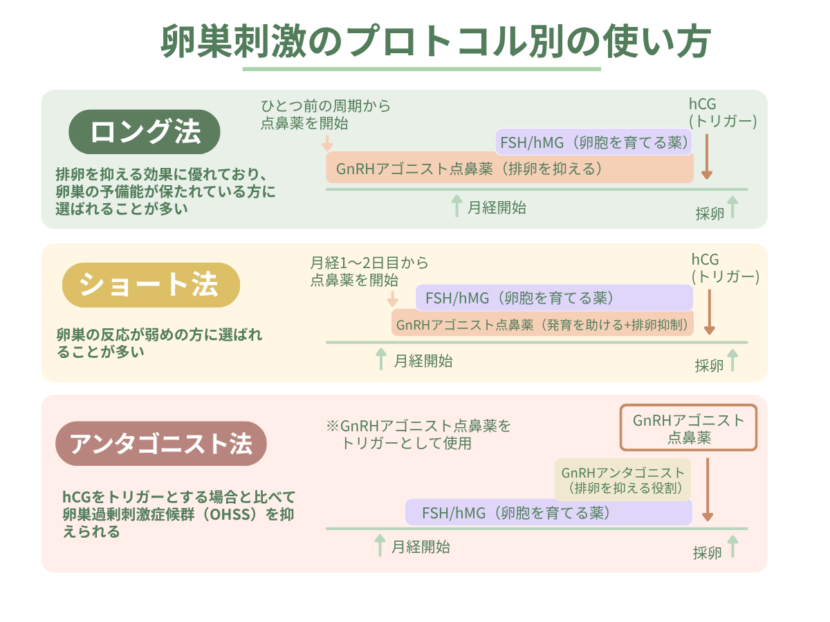 卵巣刺激のプロトコル別の使い方