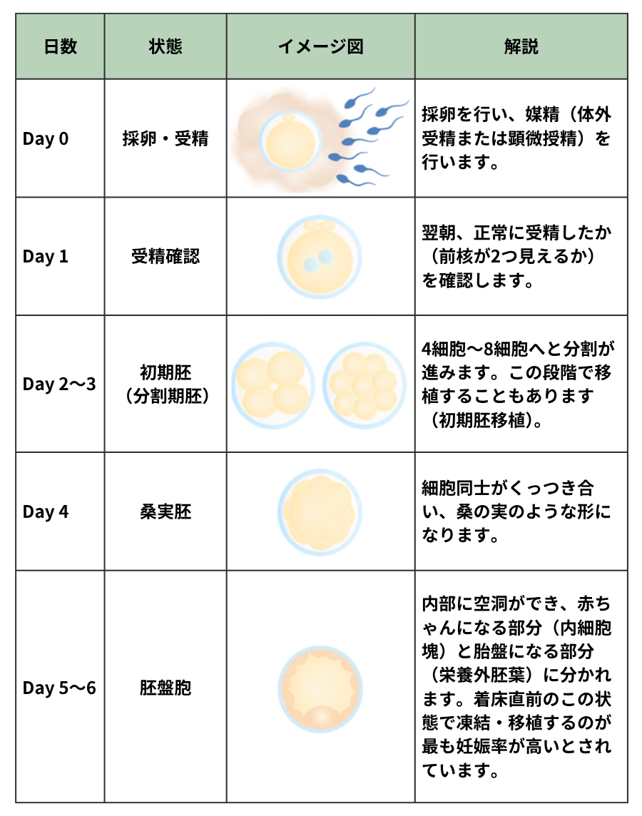培養の流れ