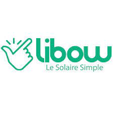 Avenir Eco et Libow, installateurs de panneaux solaires