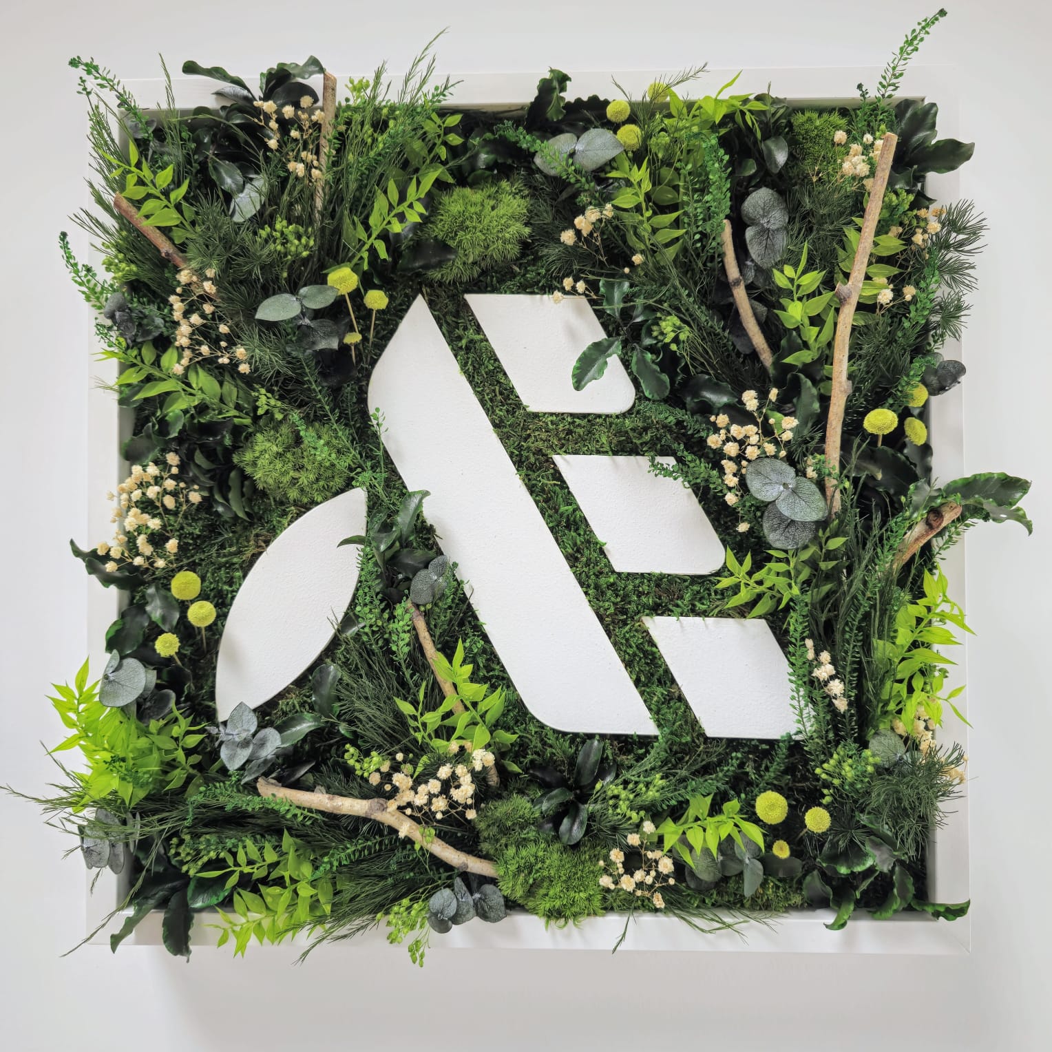 Consuel électrique Bretagne