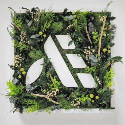 Avenir Eco, spécialiste des chargeurs solaires enphase