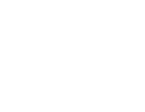 Nachlasspartner