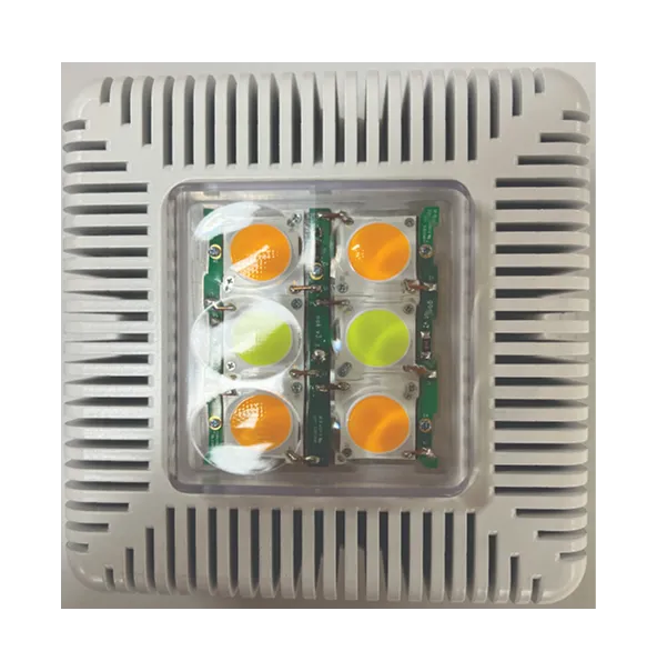 Fog Bandit Standalone Flash Unit