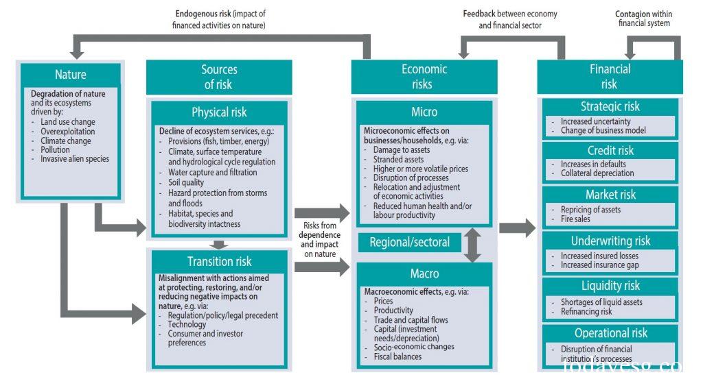 Flowchart: Nature (land-use change, overexploitation, climate, pollution, invasives) -> Sources of risk (physical, transition) -> Economic (micro/regional/macro) -> Financial (strategic/credit/market/underwriting/liquidity/operational).