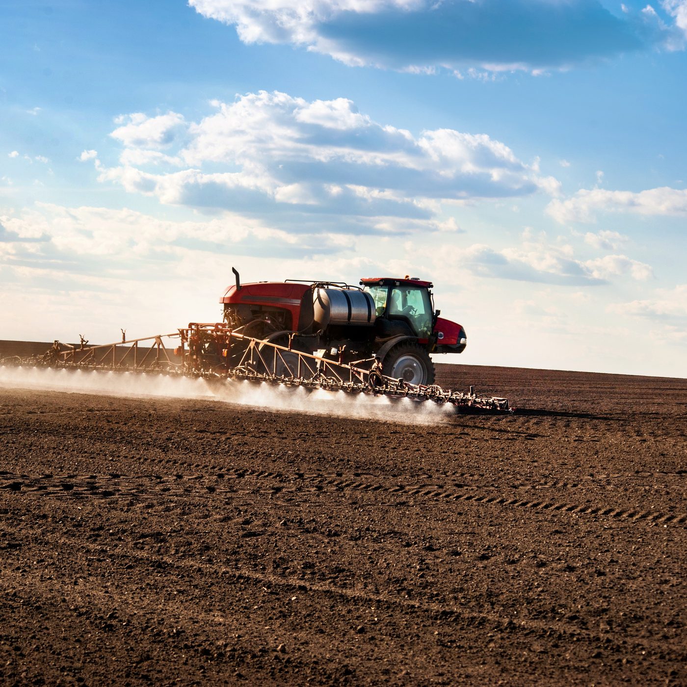 Suelo y cultivo en campo