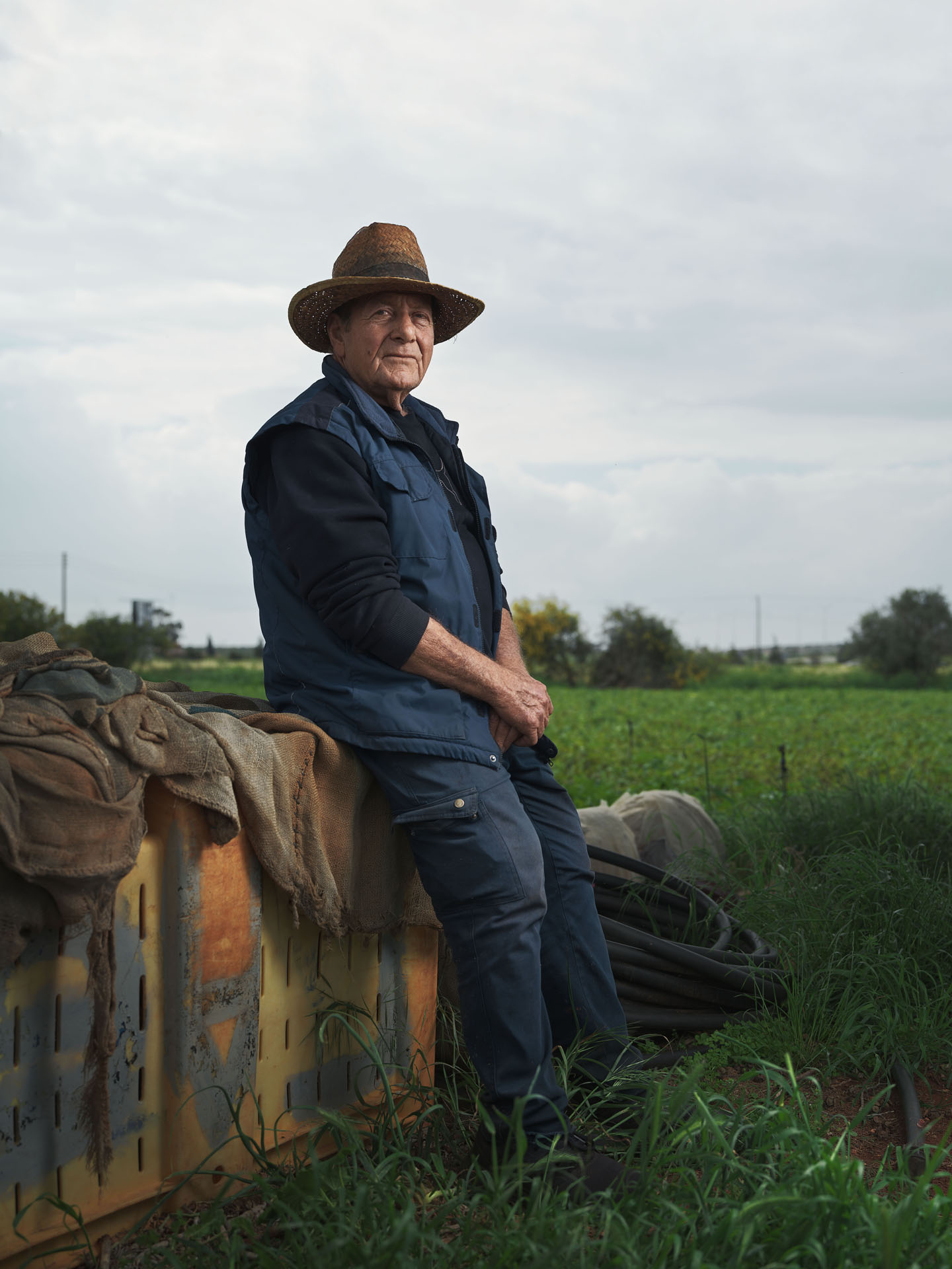 Cultivo revisado en campo