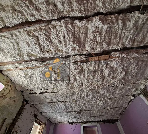 Izolacija poliuretanskom penom Artisan Home Becej