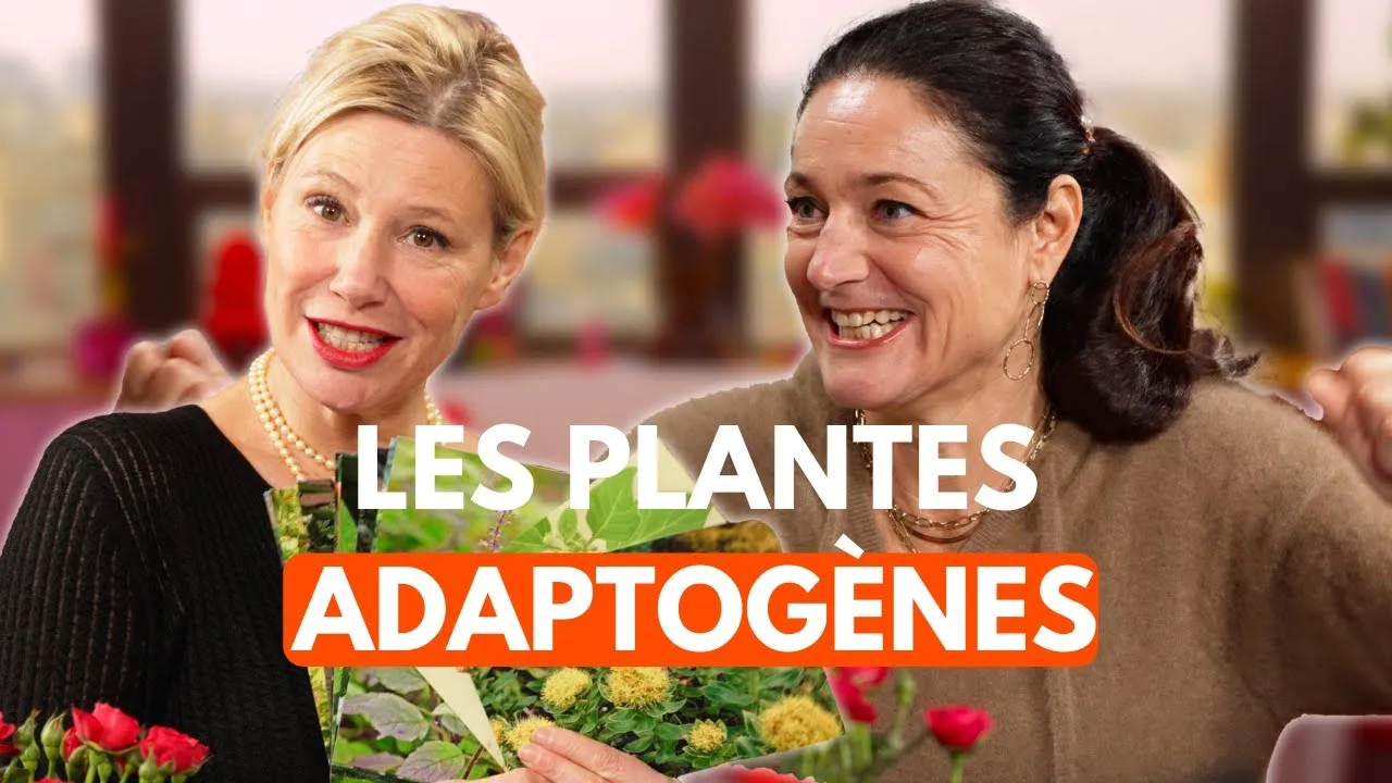 Dans le premier épisode de la nouvelle chronique d'Agnès, "Ces plantes, c'est de la bonne !", notre naturopathe et ingénieure chimiste, nous fait découvrir les plantes adaptogènes, leurs caractéristiques et leurs vertus.