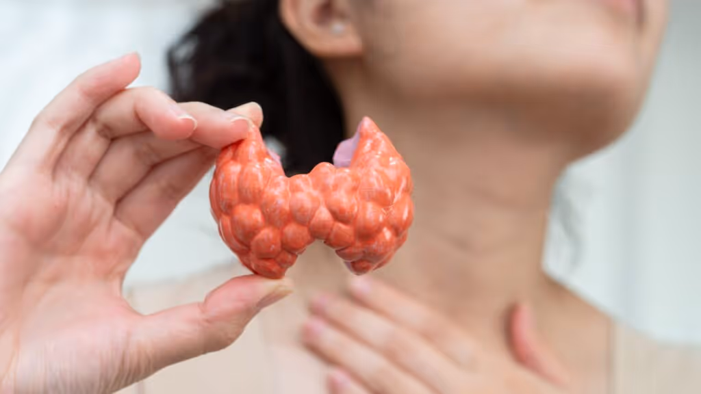 Frau zeigt ein Modell einer Schilddrüse