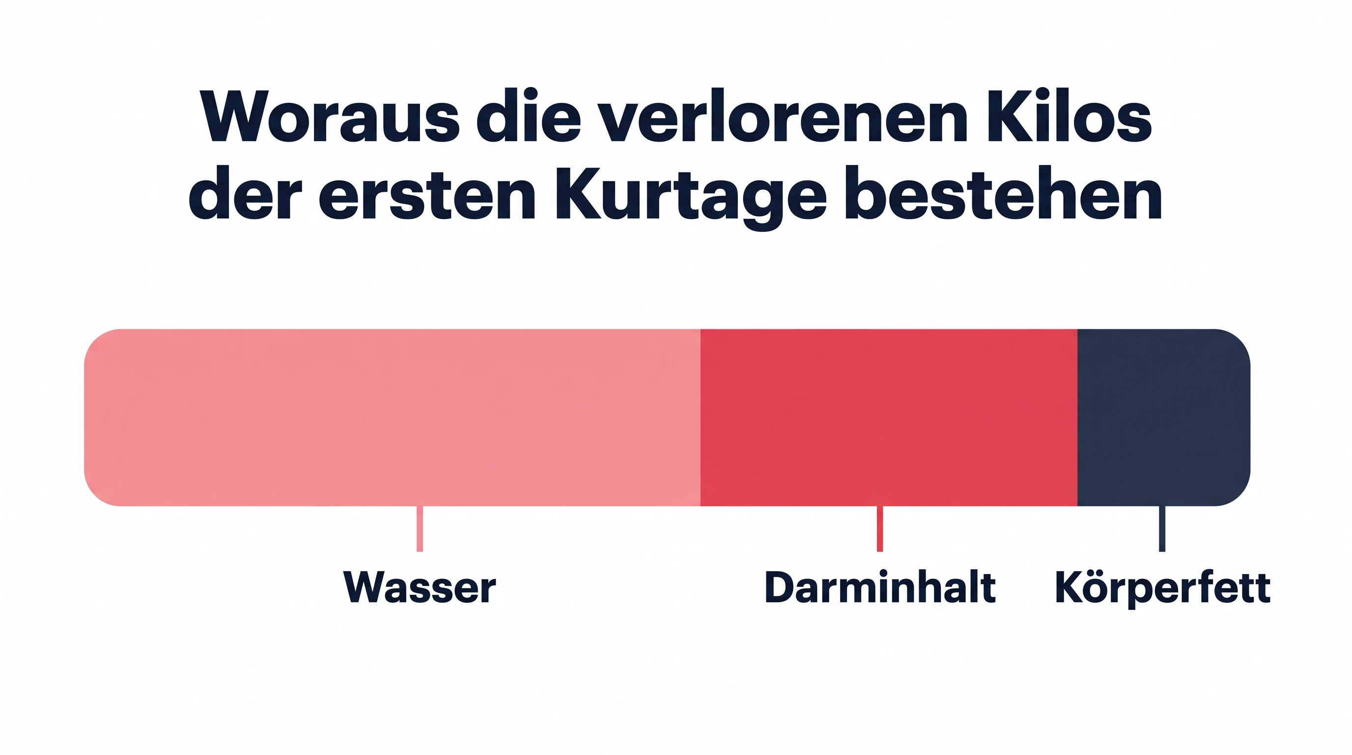 Grafik zeigt, dass der Gewichtsverlust bei einer Darmkur vor allem aus Wasser und Darminhalt besteht und kaum aus Körperfett