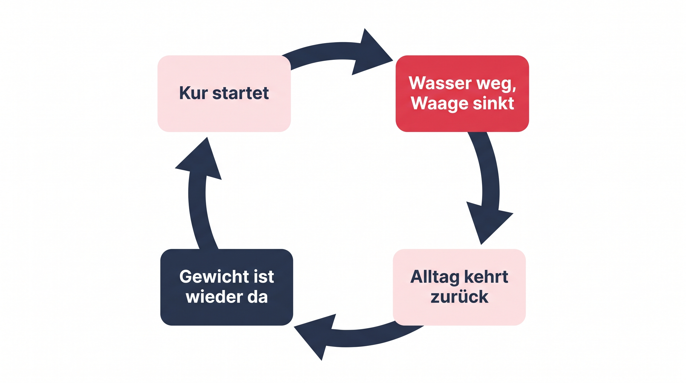 Kreislaufgrafik zeigt, wie das Gewicht nach dem Ende einer Darmkur wieder zurückkehrt